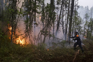  Первые лесные пожары зафиксировали в Хабаровском крае и Забайкалье 